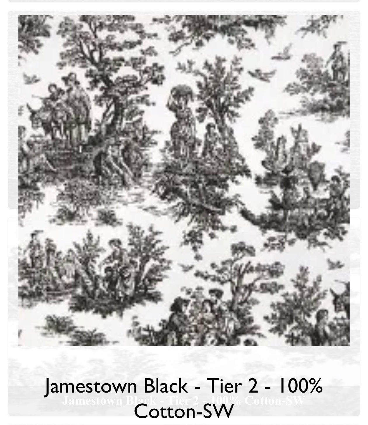 Jamestown black pillow