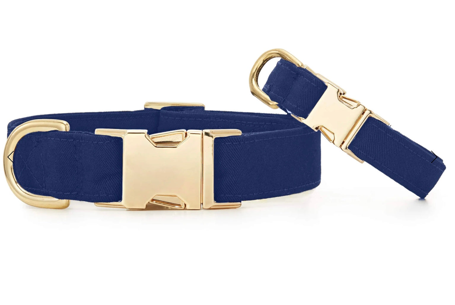 Medium Ocean Blue Dog Collar (THE FOGGY DOG)