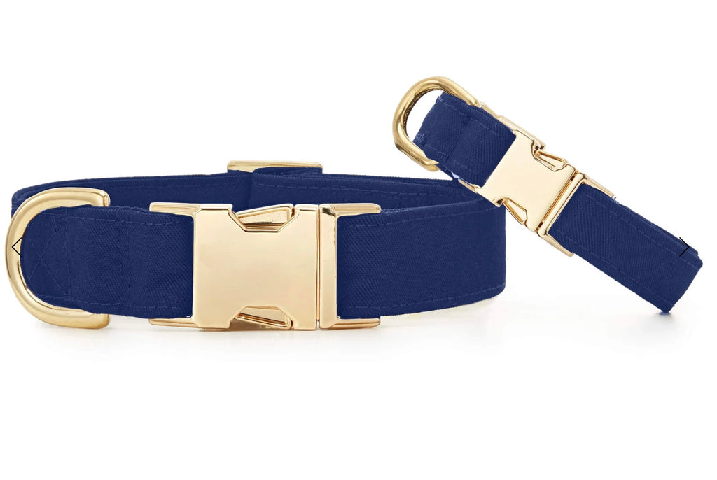 Large Lake Blue Dog Collar