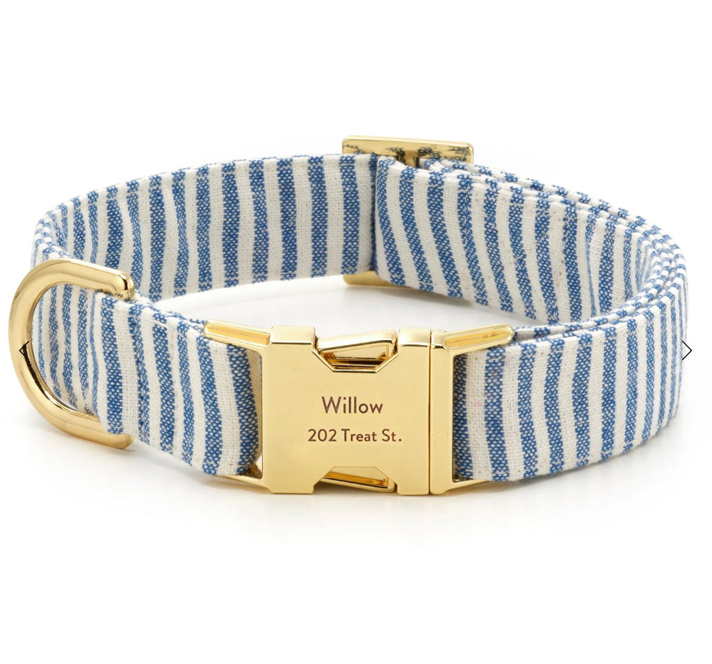 Large Lake Blue Dog Collar