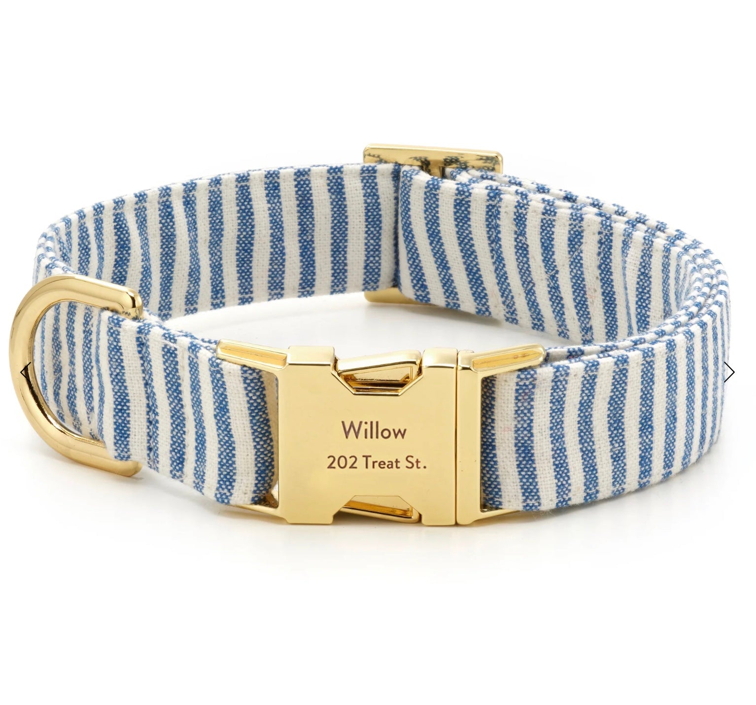 Large Lake Blue Dog Collar
