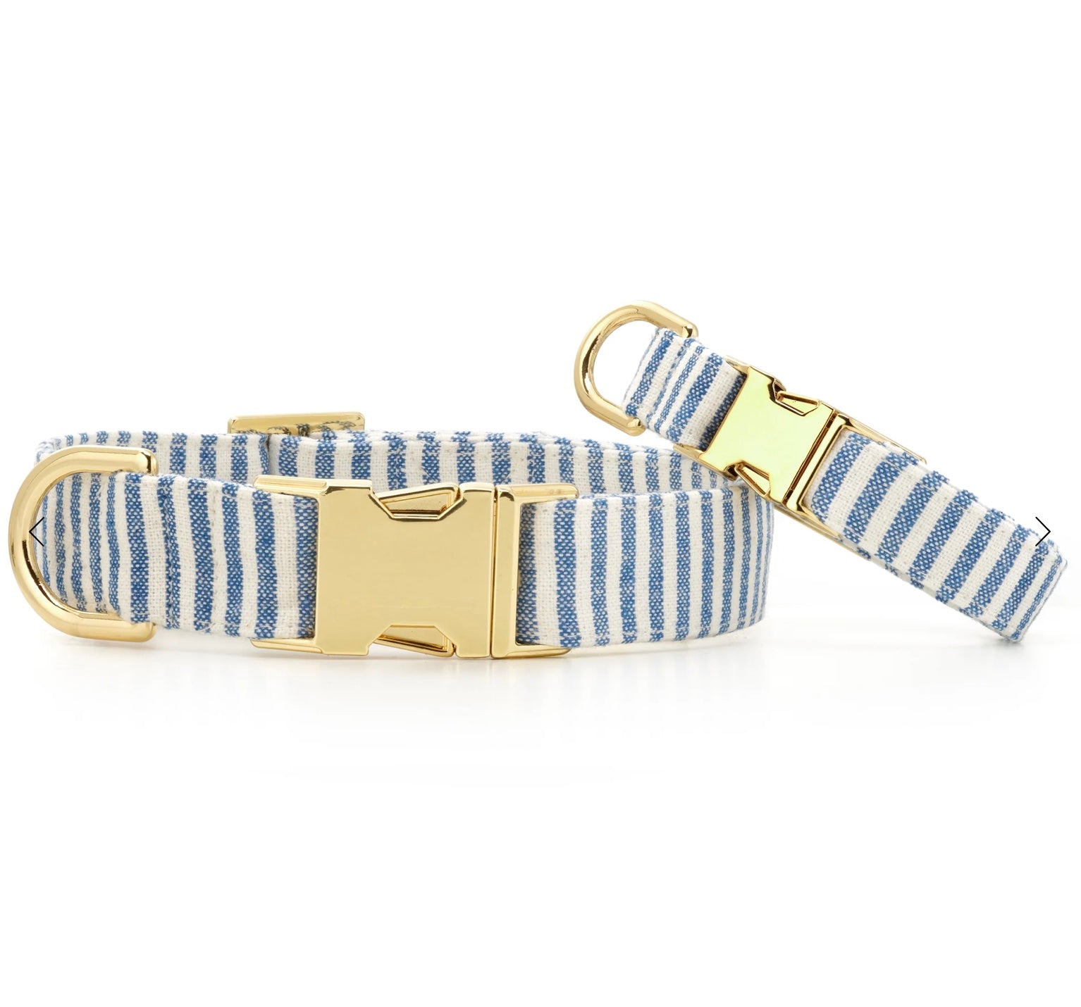 Large Lake Blue Dog Collar