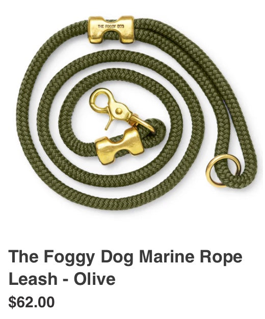 The Foggy Dog Leash
