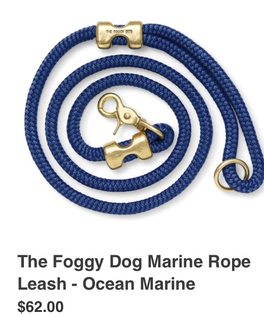 The Foggy Dog Leash