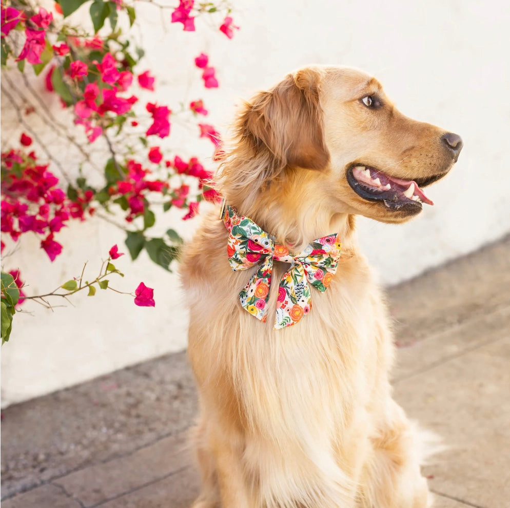 Rifle Garden Party Bow Tie (THE FOGGY DOG)