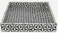 Salinto Tray