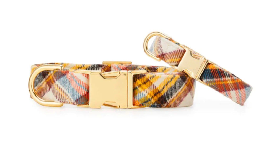 Small Dog Collar Cornucopia Plaid (THE FOGGY DOG)